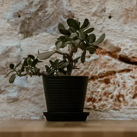 ホテル Boem Boutique *